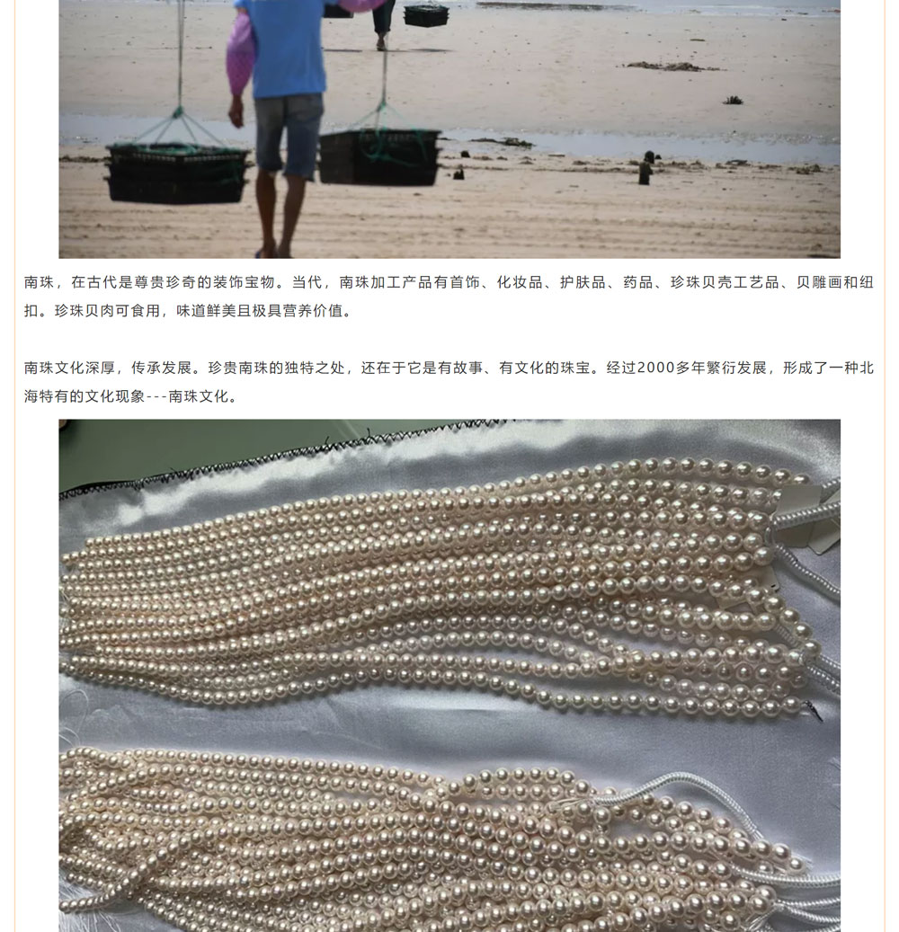 古老南珠，綻放異彩