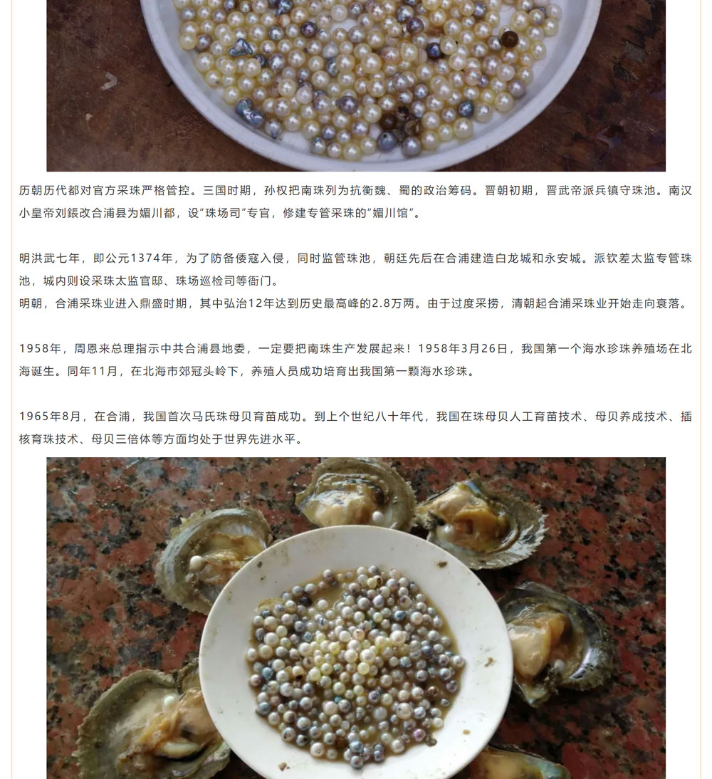 古老南珠，綻放異彩